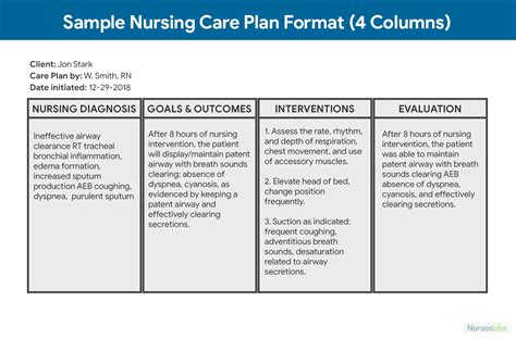 a nurse is contributing to the plan of care